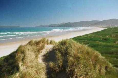 South Sea Hotel - Stewart Island 하프문베이 외부 사진